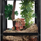 REPTI ZOO 18" x 18" x 24" Front Opening Chameleon Cage with 3-Sided Metal Mesh, 34 Gallon Screen Vertical Terrarium with Background Sticker, Tall Enclosure for Chameleon, Tree Frog, Arboreal Reptiles
