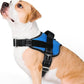 rabbitgoo Dog Harness for Large, Easy On Pet Vest with One Buckle, No Pull Adjustable Service Harness with D-Ring & Handle, Reflective for Safety Walking, Training, Blue, L