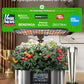 LetPot LPH-Max Hydroponics Growing System Kit, 21 Pods APP & WiFi Automatic Controlled Smart Indoor Garden with 36W LED Grow Light, Auto Drip Irrigation Kits, Self-Managed Nurturing & Watering