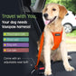 Dog Seat Belt, Safety Vest Dog Car Harness with Adjustable Buckle Dog Seat Belt for Vehicle Nylon Pet Safety Seat Belts Heavy Duty(XL, Orange)