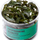 Ultum Nature Systems Cryptocoryne Beckettii Water Trumpet Tissue Culture Live Plant for Aquarium, Aquascape, Freshwater Fish Tanks - 100% Snail Free in Vitro