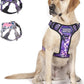 BUMBIN Tactical Dog Harness for Large Dogs No Pull, Famous TIK Tok No Pull Dog Harness, Fit Smart Reflective Pet Walking Harness for Training, Adjustable Dog Vest Harness with Handle Purple Camo XL