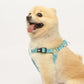 PUPTECK No Pull Dog Harness Soft Adjustable Basic Nylon Step in Puppy Vest Outdoor Walking with ID Tag
