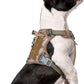 BUMBIN Tactical Dog Harness for Small Dogs No Pull, Famous TIK Tok No Pull Puppy Harness, Fit Smart Reflective Pet Walking Harness for Training, Adjustable Dog Vest Harness with Handle Desert Camo S