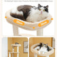 PETEPELA 61" Cat Tree for Indoor Cats, [6-Levels] Cat Climbing Tower with 9 Sisal Scratching Posts and Replaceable Dangling Ball &Top Perch, Beige