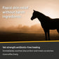 Silver Honey Rapid Relief 6oz Spray for Horses Only, Use on Equine Scratches / Pastern Dermatitis / Mud Fever / Dew Poisoning / Cracked Heels