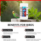 Morning Bird Vitalize, Supplement for Sick, Injured, or Stressed Caged Birds; Dehydration and Exhaustion Treatment for Parakeets, Cockatiels, Budgies, Finches, Canaries, and Parrots, 16 oz