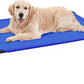 PHYEX Elevated Dog Bed for Large Dogs, Raised Dog Bed with Breathable Mesh, Dog Cot Bed with Sturdy Steel Frame for Indoor & Outdoor Use, Non Slip, Easy to Clean, 50.5 Inches, Blue