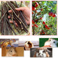 250g Apple Sticks Small Animals Molar Wood Treats Toys for Rabbits Chinchillas Guinea Pig Hamster Gerbil Parrot Bunny and Small Animals Chew Stick Toys Treats