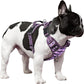 Timos Dog Harness,No-Pull Pet Harness Adjustable Soft Padded Dog Vest,Reflective No-Choke Pet Oxford Vest with Easy Control Handle for X-Small Dogs,Moon Night,XS