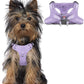 BARKBAY Dog Harness, Reflective Adjustable Puppy No Pull Harness, Breathable Soft for Small and Medium Dogs, Violet Purple, XXS