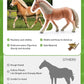 Horse Stable Playset, Horse Gifts for Girls and Boys with 3 Horses and 2 Riders, Horse Toys Set Farm Animals Toys for Kids 3 4 5 6 7 8+ (Horse Playset 1)