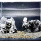 Fish Tank Decor Rocks.Aquarium Decoration Model.Easy and Quick Solution for Aquascaping.(Skull Canyon)