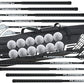 Floorball High School/Adult Stick Set with 12 Sticks, 12 Balls & Bag