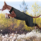 ROZKITCH Dog Surgery Leg Sleeve Rear Legs, Male Female Pet Prevent Licking Wound Elbow Knee Protector, Dog Recovery Suit Cone Collar Alternative Pants Shirt for Wound Heal Wrap Grey S