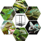 REPTIZOO 90 Gallon Reptile Terrarium 24" x 24" x 36" Large Glass Reptile Tank, Tall Terrarium with Front Opening Door and Top Screen Ventilation Easy Assembly Habitat Tank