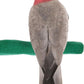 Comfort Grip Safety Perch for Bird Cages - Pedicure Perch for Birds to Keep Nails and Beaks in Top Condition - Safe Easy to Install Bird Cage Accessories - M 8.5"