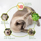 Cat Catnip Toys,2Pcs Catnip Ball for Cats,Toys for Indoor Cats,Cat Chew Exercise Toy for All Breeds and Species,Enhances Oral and Dental Health