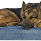 Furhaven Orthopedic Dog Bed for Large Dogs w/ Removable Bolsters & Washable Cover, For Dogs Up to 95 lbs - Faux Fur & Velvet Sofa - Harbor Blue, Jumbo/XL