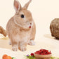 Niteangel Goji Berries Rabbits Snack Treats: 12pcs Natural Chew Toys for Bunny Chinchilla Guinea Pigs and Other Small Animals