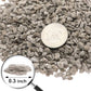 TOYPOPOR Horticultural Bonsai Pumice Succulent Cactus Plants Garden Turface Pumice Gravel Rock Tree Soil Additive Faster Draining Blend, Optimal Drainage, Improves Soil Aeration and Promotes Root 6lbs
