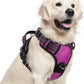 rabbitgoo Dog Harness for Large Dogs, No Pull Pet Vest with 3 Buckles, Adjustable Soft Padded Pet Harness with Easy Control Handle and Reflective Strips, Purple, XL