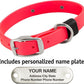Biothane Custom Dog Collar – Waterproof, Stink-Proof Personalized Collar with Name & Phone Number – Durable, Many Sizes and Colors – Assembled in USA – Assembled in USA (Hot Pink)