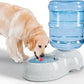 Kenond Water Dispenser Station for Large Dogs,3 Gallon/11L Gravity Automatic Feeder, Dog Water Bowl Dispenser,Large Size Dog Drinking Fountain