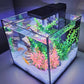 Level One Pets Duo 2 in 1 Submersible Aquarium Filter with LED Light (Up to 3 Gallons)