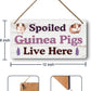 Big Hamster Ball & Guinea Pig Hideout - Stuffed Animals & Accessories for Guinea Pig Cage - 12x6 In Wooden Sign