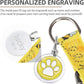 PUPTECK No Pull Dog Harness Soft Adjustable Basic Nylon Step in Puppy Vest Outdoor Walking with ID Tag, Yellow Bee, S