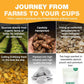 HANDPICK, Organic Turmeric Ginger Tea, 100 Eco-Conscious Tea Bags | Caffeine Free, Gluten Free, Non-GMO | 100% Pure Herbal Blend - Savory & Spicy