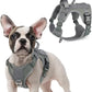 rabbitgoo Tactical Dog Harness for Small Dogs, No Pull Military Service Vest with Handle & Molle, Easy Control for Training Walking, Adjustable Reflective Straps, Dark Grey, S