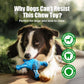 Dog Toys for Small Dogs, Nylon Indestructible Dog Toy for Small Dogs, Hedgehog Puppy Chew Toys with Bacon Flavor,Long Lasting, Puppy Teething Toys, Blue