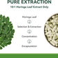 Moringa Capsules 1000mg, Moringa Leaf Extract 10:1, Energy, Sleep, Immune & Gut Health, Veg Capsules 60 Count, All-Natural, Non-GMO, Made in The USA