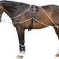 Advanced European Training System | Advanced Training Tool | Enhances Horse Carriage and Headset | Encourages Forward Movement | Strengthens Key Muscles | Not for Beginners