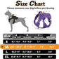 rabbitgoo Dog Harness Medium Sized No Pull, Tactical Service Pet Vest with Molle and Control Handle, Adjustable and Reflective Military Harness for Easy Walking and Training, Purple, M