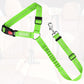 BWOGUE Pet Dog Cat Seat Belt Reflective Car Dog Headrest Restraint Leash Elastic Buffer Bungee Adjustable Tangle-Free Safety Leads Vehicle Seatbelt Harness for Small, Medium and Large Dogs (1 Pack)