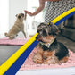 Muddy Mat® AS-SEEN-ON-TV Highly Absorbent Microfiber Door Mat and Pet Rug, Non Slip Thick Washable Area and Bath Mat Soft Chenille for Kitchen Bedroom Indoor and Outdoor - Light Pink 48" x 60"