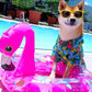 Parisian Pet Stylish Dog Hawaiian Shirt - Cotton Summer Beach Outfit - Hook & Loop Closure - Machine Washable - XS
