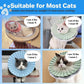 Soft Cat Cone Collar for Cats– Adjustable Lightweight Recovery E-Collar to Stop Licking, Scratching & Biting After Surgery, Comfortable Wound Healing Cone Alternative (Blue, L)
