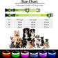 PcEoTllar Light up Dog Collar for Night Walking - LED Dog Collar Light Rechargeable Color Changing, Glow in The Dark Dog Collars Waterproof Glowing Dog Collars for Large Small Medium Dogs