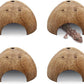 PINVNBY 4 PCS Natural Coconut Reptile Hideouts Lizard Coco Hut Hermit Crab Hut Aquarium Fish Hide Cave Spider Snail Climber Toys