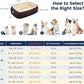 Orthopedic Dog Bed for Medium Size Dog Washable Cover, Egg Crate Foam Cat Bed for Senior Cat,Oval Kennel Bed, Pet Couch Bed with Four Sided Bolster, Removable Washable Cover Non-Slip Bottom, Brown