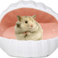 Ceramic Hamster Hideout Guinea Pigs House Guinea Pig Accessories Sand Bathes for Small Pets Hamster Accessories for Cages for Guinea Pigs Chinchillas Gerbils Hedgehogs (Pink)