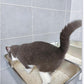 IKITCHEN Stainless Steel Cat Litter Box, Large Metal Litter Pan for Cats, Kitty Litter Box Never Absorbs Odors, Low Side Entry Non Stick, Easy Clean 17.5 x 13.5 x 4 inches