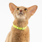Safety Cat Collar - U.S. IDA Gold Awarding Design, Stretch Elastic Quick Release, Non Breakaway - Light Weight for Kitten, Neck Fit 5.9'-11.8' for All Small Large Cat,S(Cocoa)