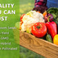 Vegetable Seeds Kit Fruit Seeds for Planting Non-GMO and Heirloom 35 Varieties Seeds for Planting Vegetables 10 Plant Markers