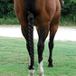 Durable Braid-in Ponytail Tube Tail Bag for Horses (Black)