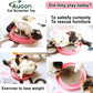 AUOON Cat Scratcher Toy - Cat Scratch Pad with Cat Toy Ball Track and Plush Mouse Toy for Indoor Cats and Kittens (Gray)